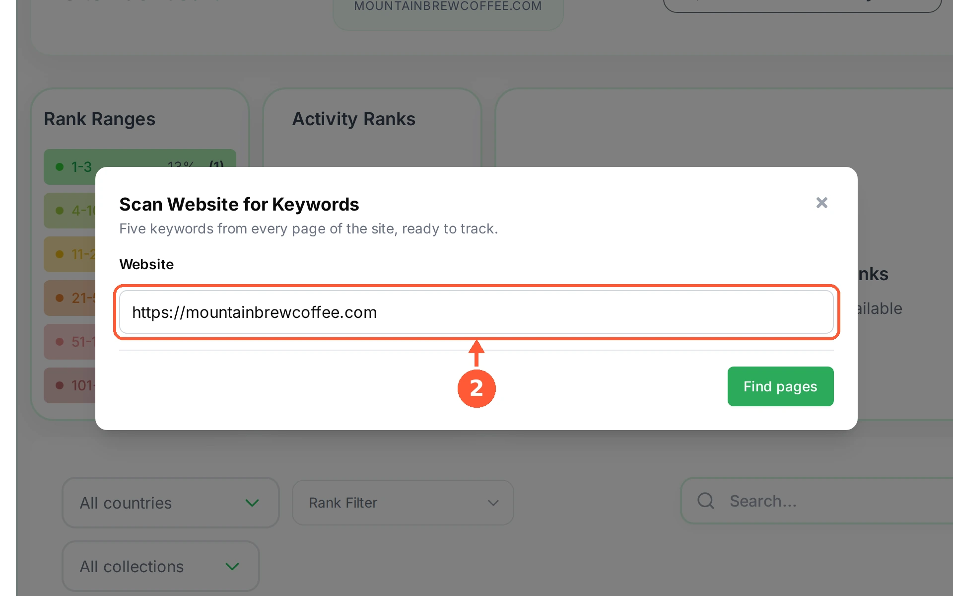 Step 2: The Website box is already filled with your address. Change it only if you want to scan a different part of the site.