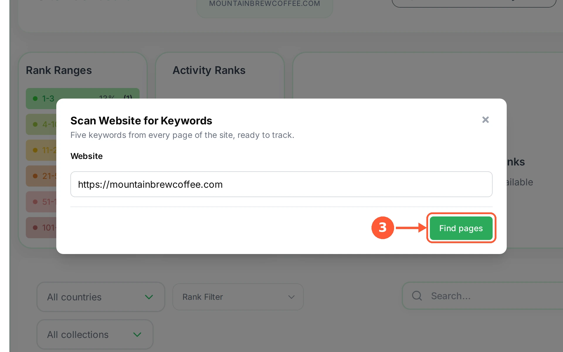 Step 3: Click Find pages. RankTera reads the site and lists every page it found.