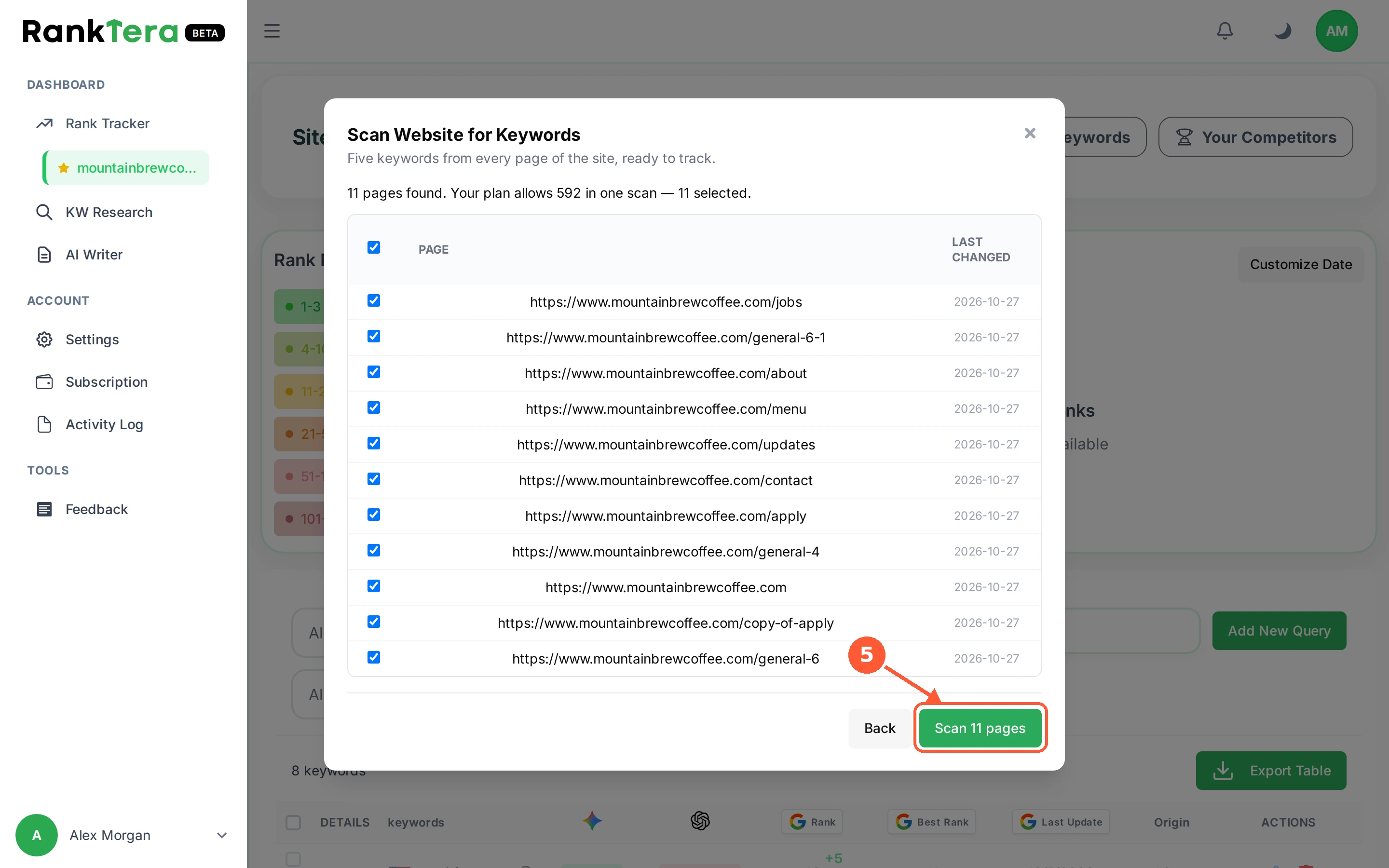 Step 5: Untick any page you do not want keywords for, then click the scan button at the bottom. It names the number of pages you picked, so you can check before you spend the scan.