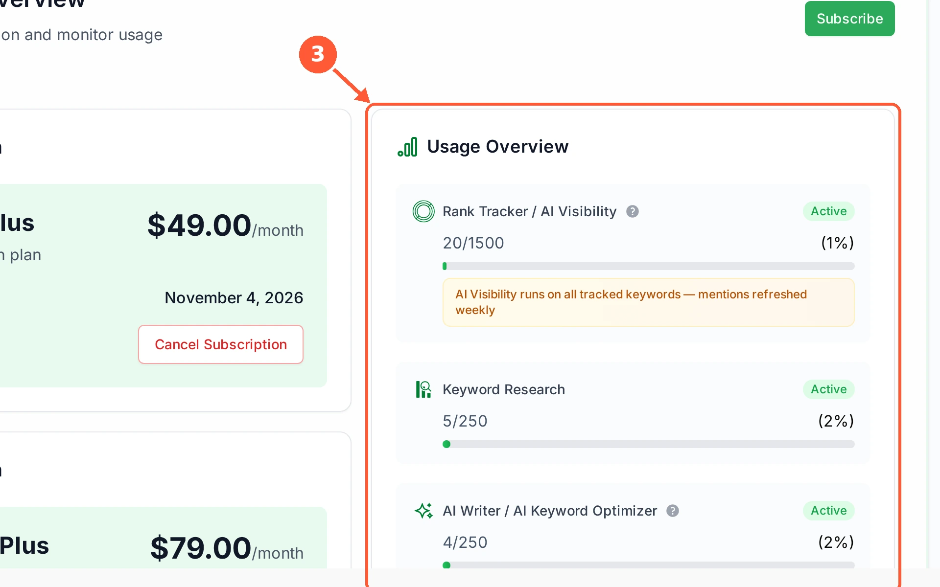 Step 3: Usage Overview is the part to watch: how many tracked keywords, research runs, articles and team members you have used out of your allowance.